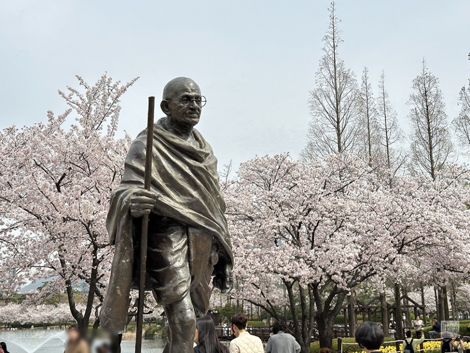 김해 연지공원 벚꽃 나들이 흐린 하늘이 아쉽다