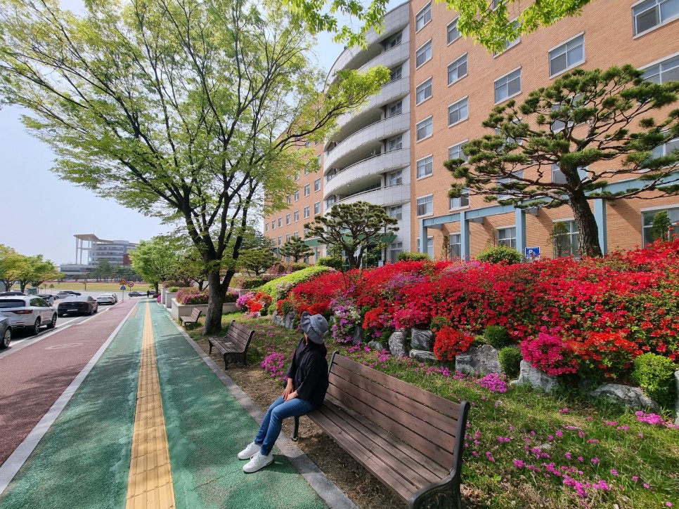 청주 가볼만한곳 문암생태공원 튤립 4월 꽃구경 청주 여행 코스