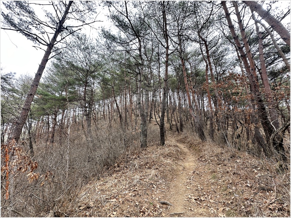 양구, 비봉산 / 파로호 한반도섬