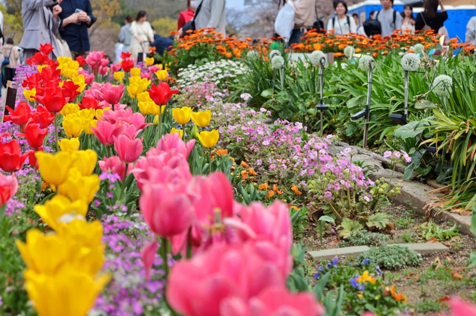 일본여행 후쿠오카 오호리공원 유후인 벚꽃 여행 후기 명소 4월 날씨