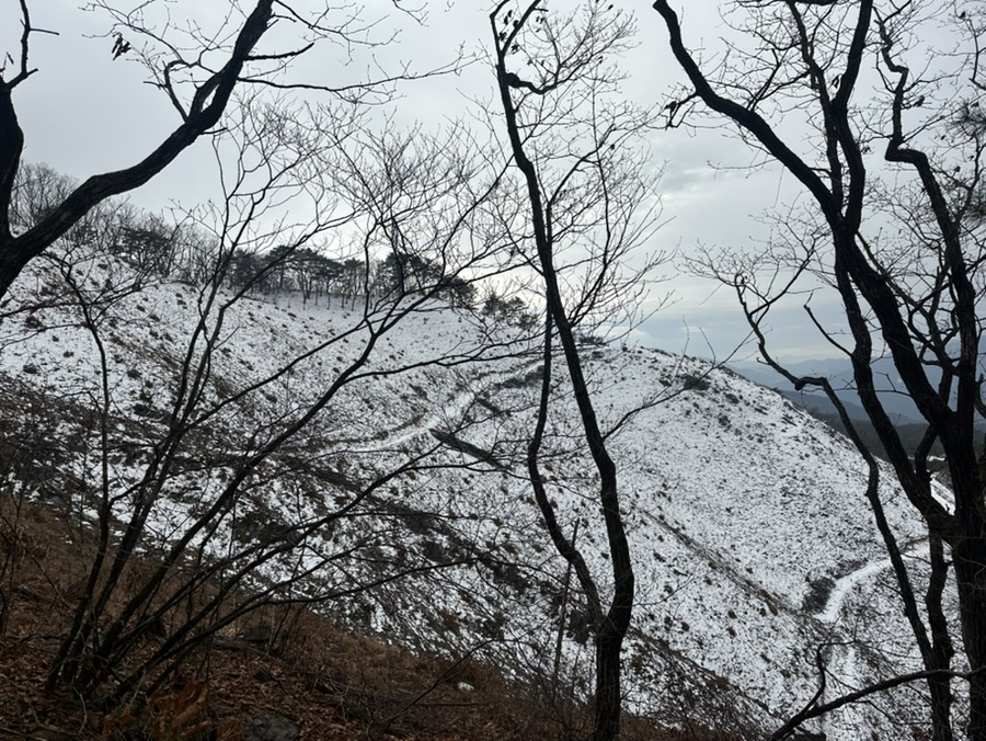 영월 태화산 최단코스 흥교태화산 농장