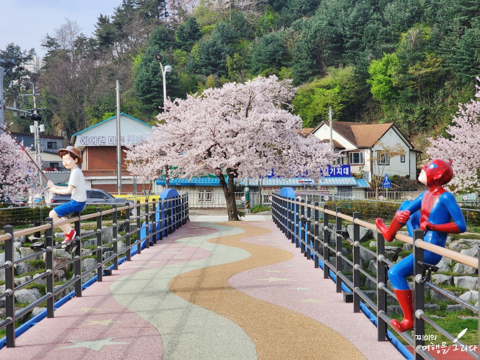2024 정읍 벚꽃 축제 가볼만한곳 전북 여행