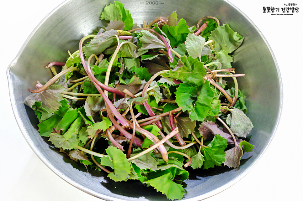 머위장아찌 담는법 만드는법 머위잎장아찌 머위요리