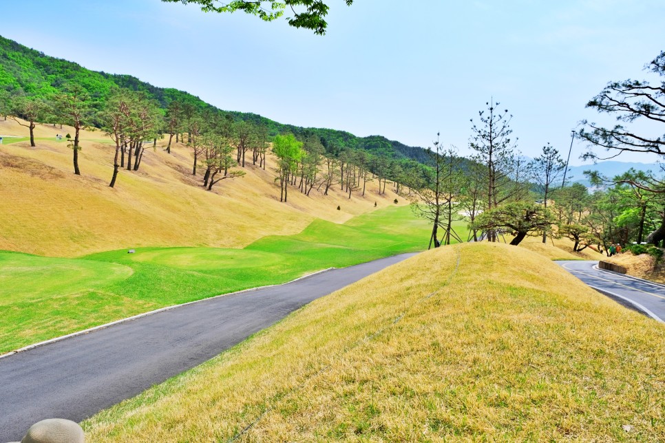 제46회 KLPGA 챔피언십 크리스에프앤씨 우승상금과 갤러리 정보