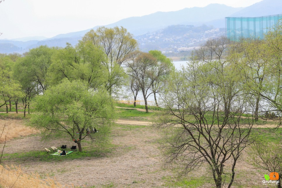 4월 경기도 가볼만한곳 경기도 벚꽃명소 갈산공원 양평 대형카페