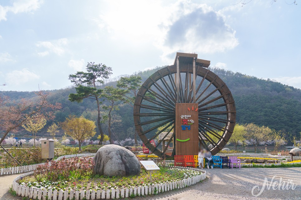 대구 옥연지 송해공원 튤립 벚꽃 대구 꽃구경 명소