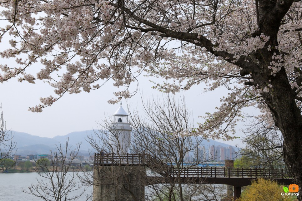 4월 경기도 가볼만한곳 경기도 벚꽃명소 갈산공원 양평 대형카페