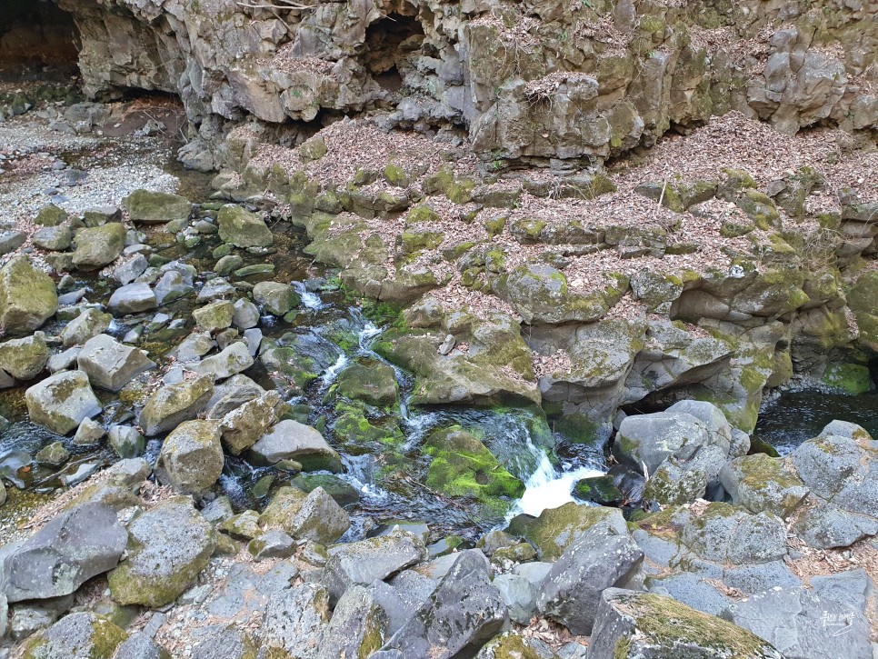 포천 가볼만한곳 한탄강 관광지 지질공원 주상절리길 비둘기낭 폭포 계곡 한탄강 하늘다리 출렁다리