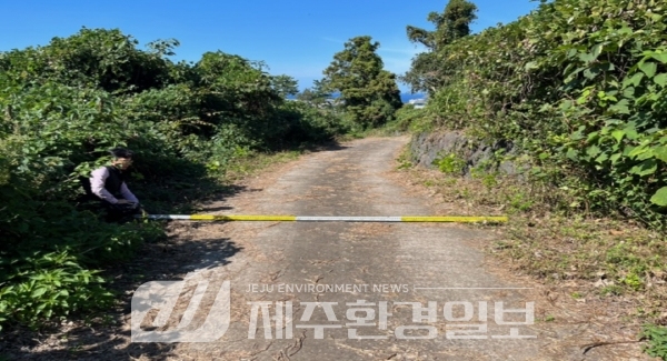 공익사업으로 사라질 뻔한 제주 ‘종중묘지 진출입로’,‘대체 통행로 개설’ 조정 해결