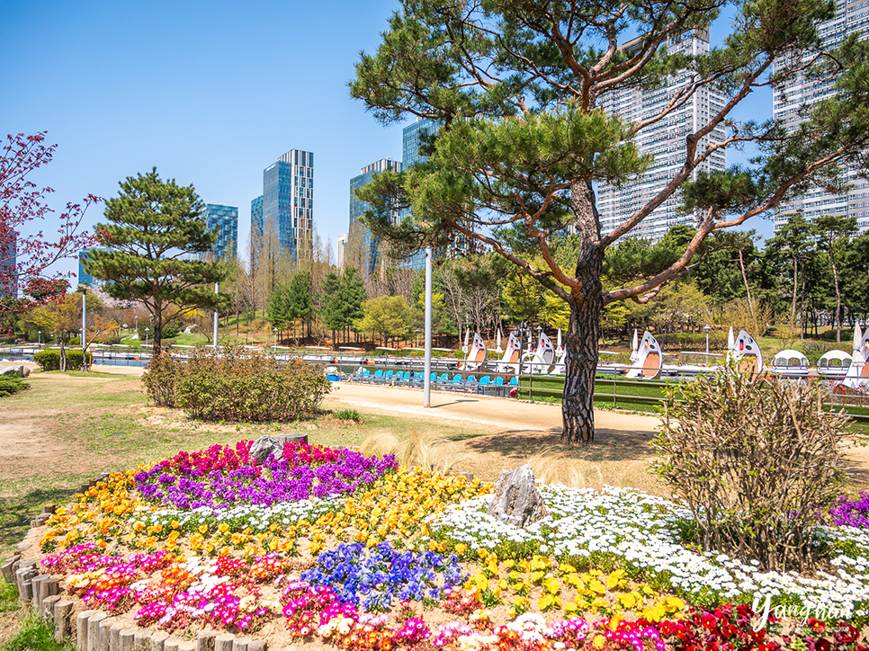 인천 송도 가볼만한곳 송도센트럴파크 공원 벚꽃 놀거리