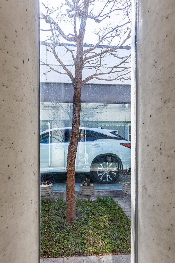 렉서스 RX450h 자동차를 유리 온실에 보관하는 집