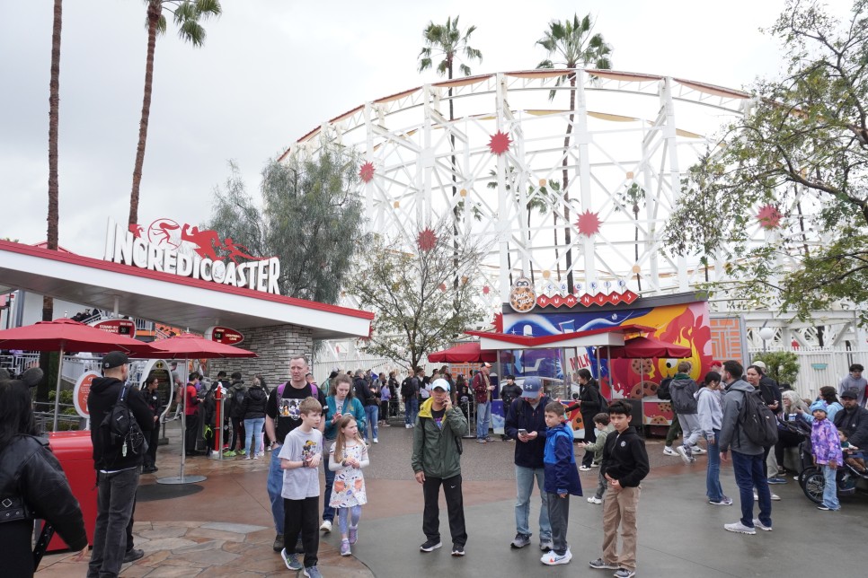 미국 LA 디즈니랜드 캘리포니아 어드벤처 놀이기구 추천, 여행 준비물, 지니플러스, 파크호퍼, 분수쇼