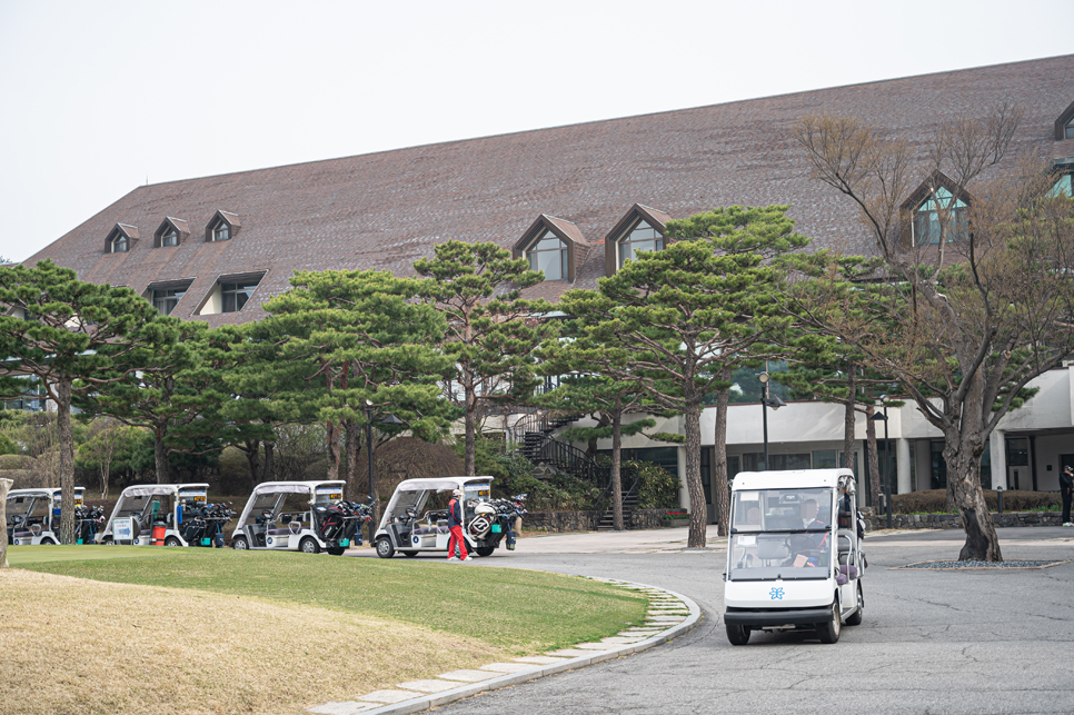 서울 근교 골프장, 블루원용인cc 벚꽃 골프 라운드 후기