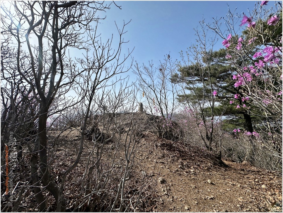 밀양, 금오산 / 양산, 천태산 최단코스