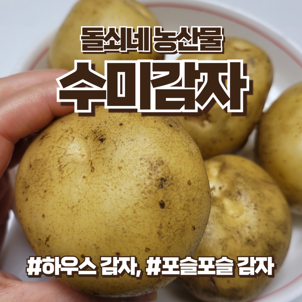 수미감자, 맛있는 감자, 감자요리, 돌쇠네 농산물 추천