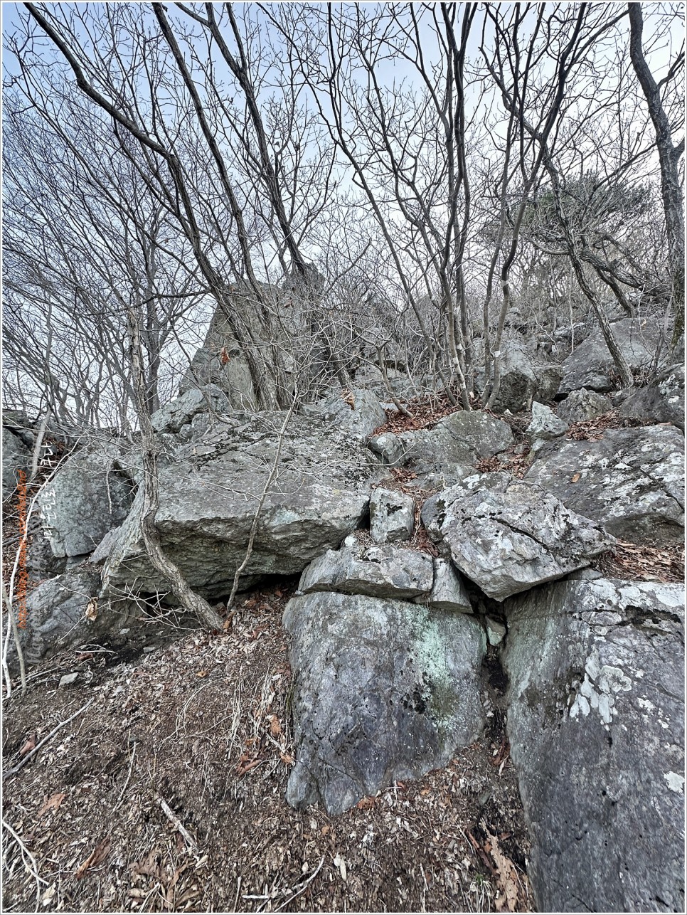 밀양, 금오산 / 양산, 천태산 최단코스