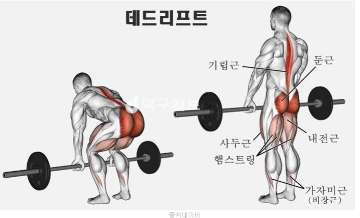 헬스 3대운동 데드리프트 종류 별 자세 효과 루마니안 컨벤셔널 스모 스티프