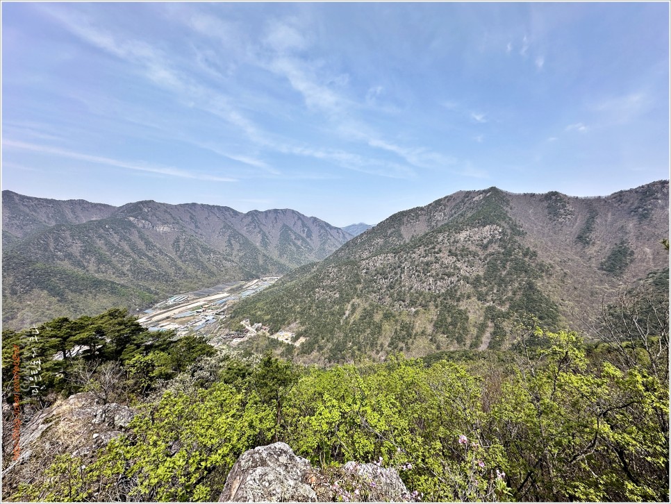 양산 토곡산 - 吐하고 哭이 나오는 山이라더만..