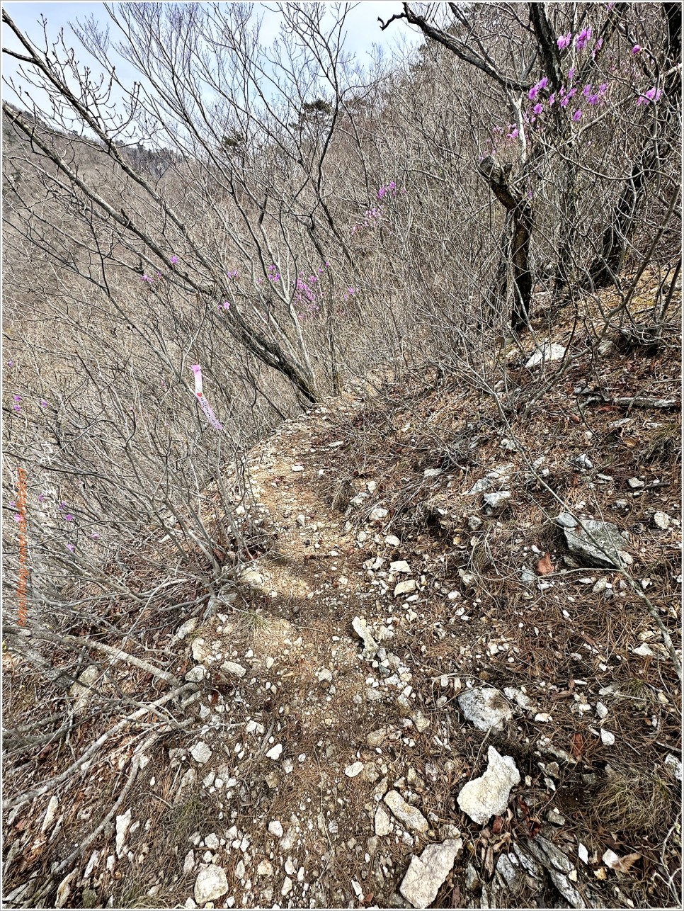 양산 토곡산 - 吐하고 哭이 나오는 山이라더만..