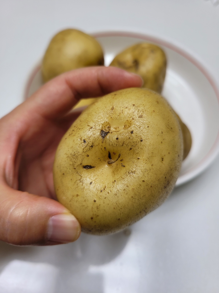 수미감자, 맛있는 감자, 감자요리, 돌쇠네 농산물 추천
