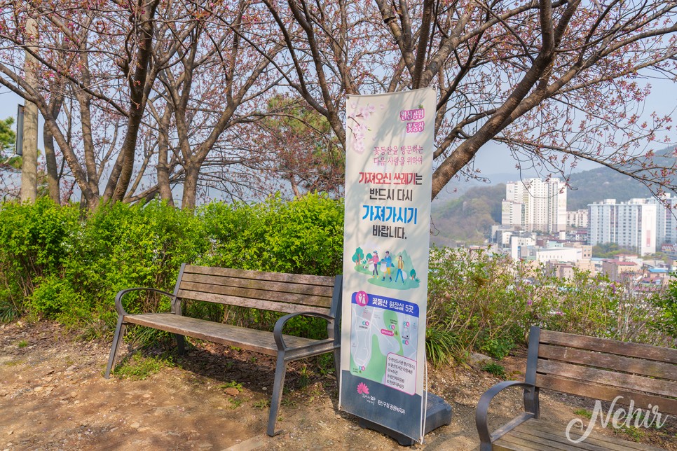 전주 완산칠봉 꽃동산 완산공원 주차장 실시간 철쭉 겹벚꽃 전주 나들이