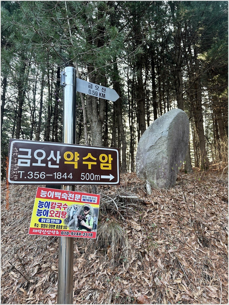 밀양, 금오산 / 양산, 천태산 최단코스