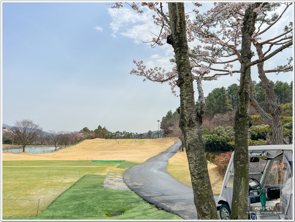 아름다운 풍경 분위기 좋은 경주cc 골프장 벚꽃없는 라운딩 후기