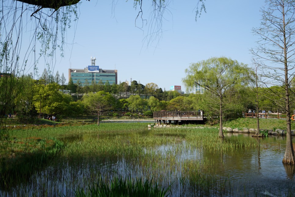 서울 나들이가기 좋은곳 서울 보라매공원~ 봄날 주말 산책하기 좋은 공원!