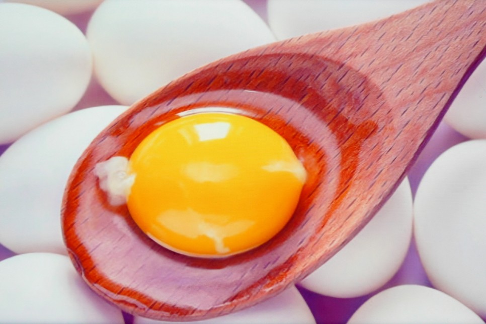 계란 노른자 난유 효능 4가지 부작용