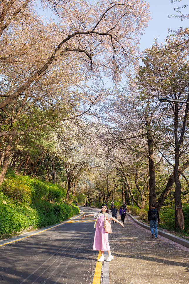 남산타워 전망대 가는법 버스 산책 서울 명소 데이트 벚꽃엔딩
