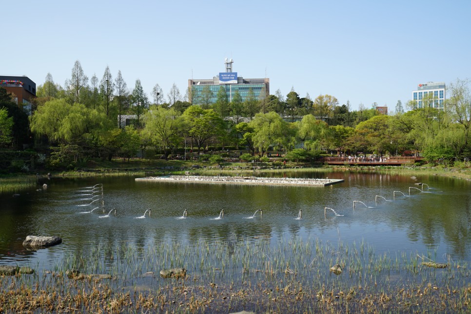 서울 나들이가기 좋은곳 서울 보라매공원~ 봄날 주말 산책하기 좋은 공원!