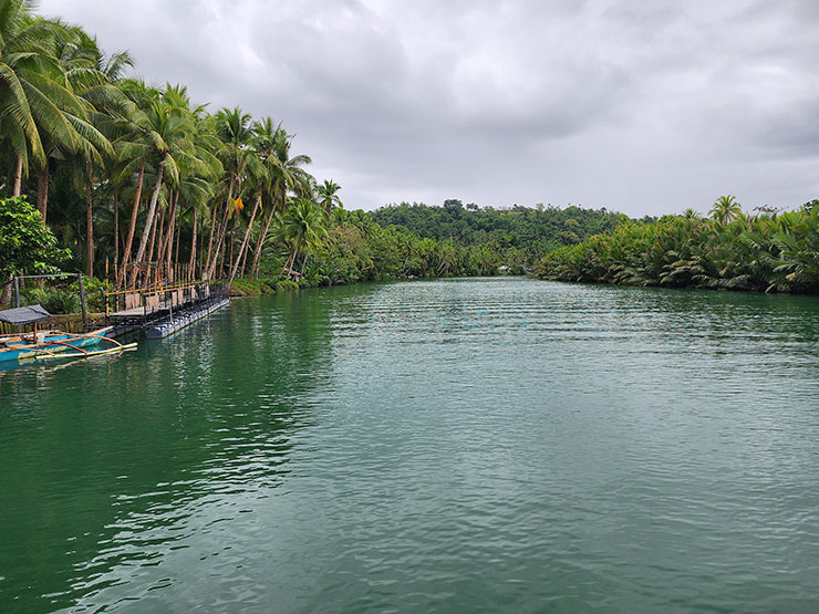 필리핀 여행 로복 강 크루즈 필리핀 섬 보홀 여행