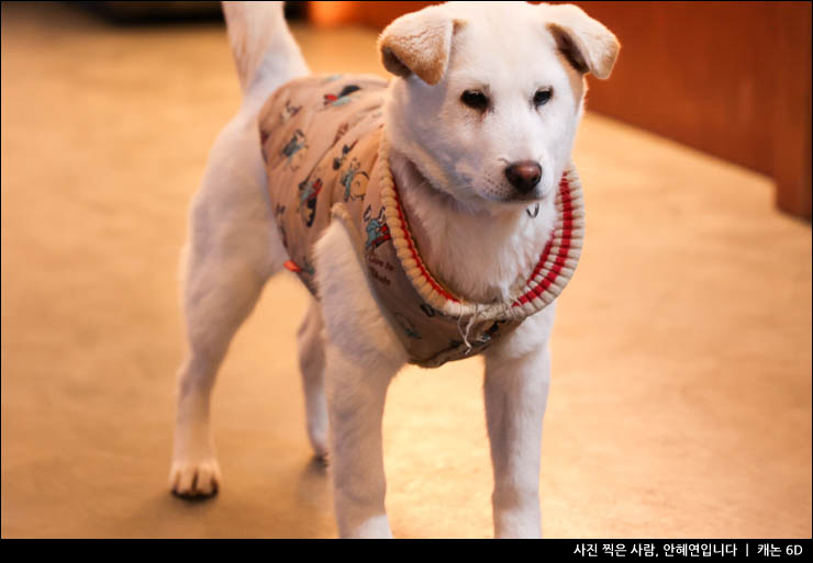 충남여행 주말 여행지 태안 가볼만한곳 태안 볼거리와 먹거리