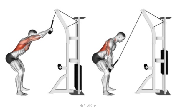 남자 여자 헬스 등운동 루틴 케이블 암풀다운 광배근 등 운동 효과 자세