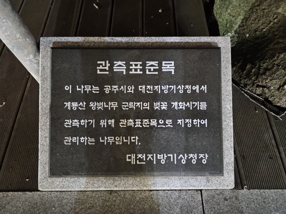 계룡산국립공원 계룡산 등산코스 소요시간 동학사벚꽃 야경도 좋아~!