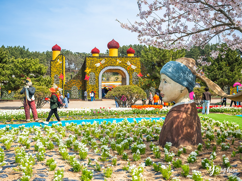 태안 튤립축제 안면도 가볼만한곳 태안 꽃박람회 태안꽃축제 먹거리