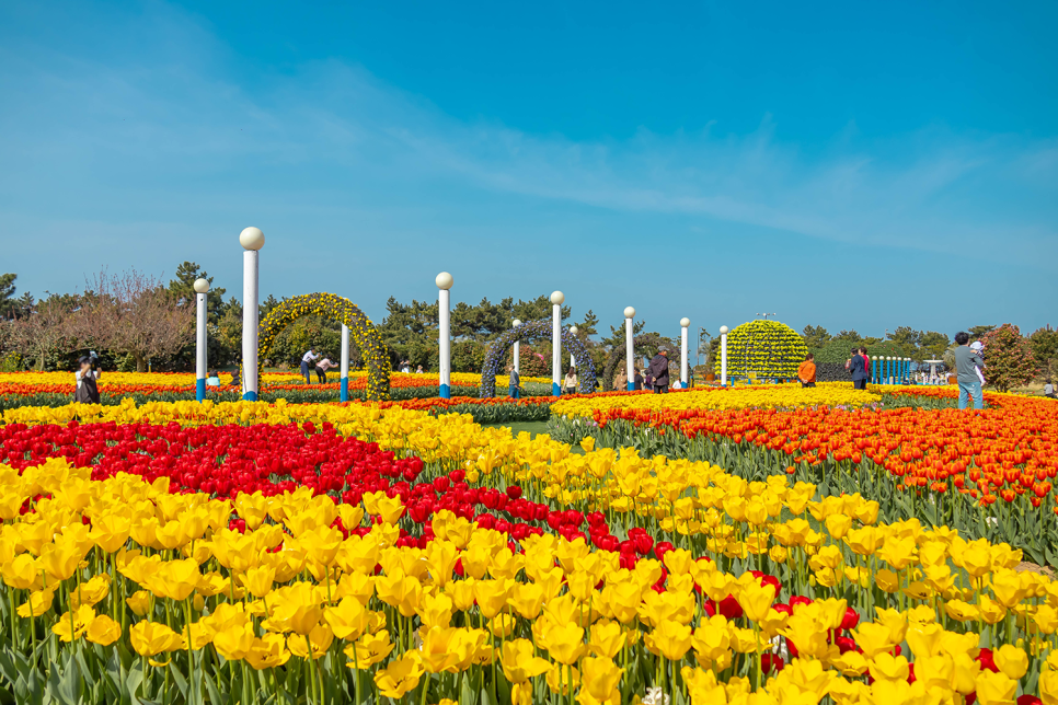 태안 튤립축제  코리아플라워파크 태안 여행 추천 태안 세계 튤립공원 꽃축제