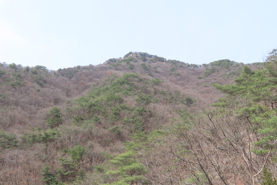 [계룡산국립공원] 장군봉~신선봉~남매탑~삼불봉으로 이어지는 병사골공원지킴터 코스 탐방