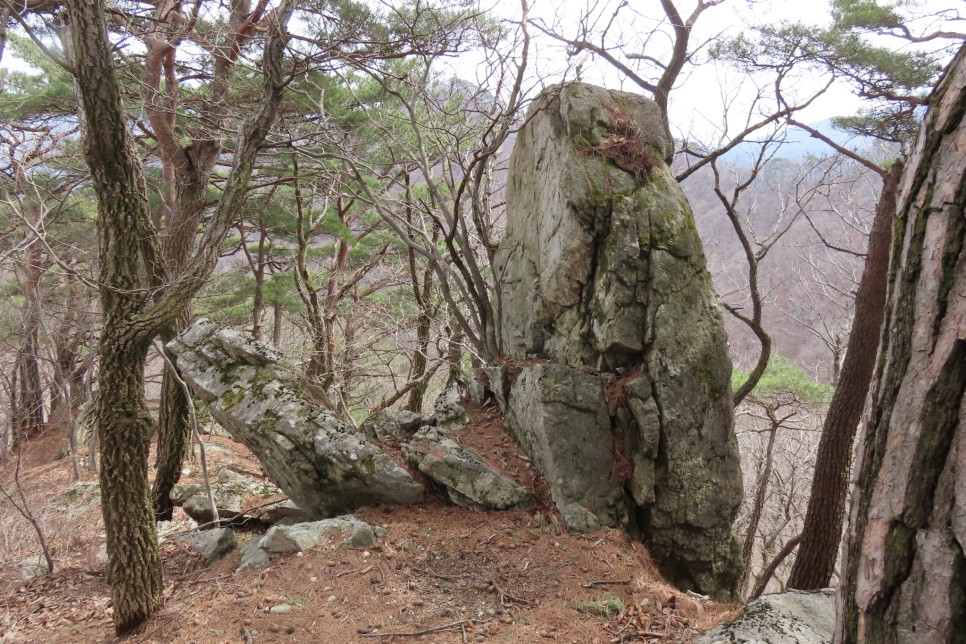 [계룡산국립공원] 장군봉~신선봉~남매탑~삼불봉으로 이어지는 병사골공원지킴터 코스 탐방