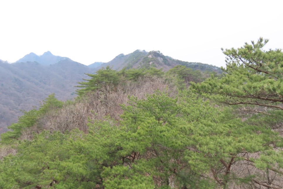 [계룡산국립공원] 장군봉~신선봉~남매탑~삼불봉으로 이어지는 병사골공원지킴터 코스 탐방