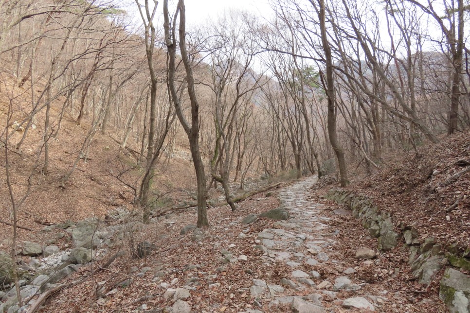 [계룡산국립공원] 장군봉~신선봉~남매탑~삼불봉으로 이어지는 병사골공원지킴터 코스 탐방