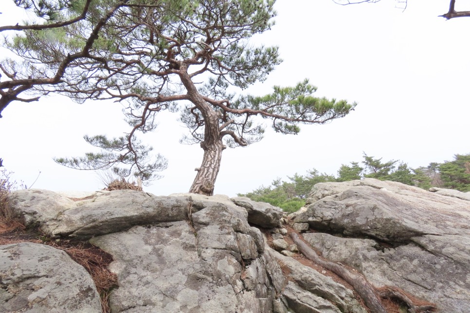 [계룡산국립공원] 장군봉~신선봉~남매탑~삼불봉으로 이어지는 병사골공원지킴터 코스 탐방