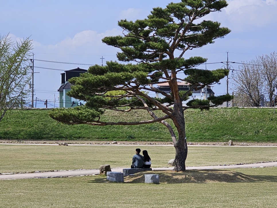 충남 서산 가볼만한곳 해미읍성 봄나들이 추천