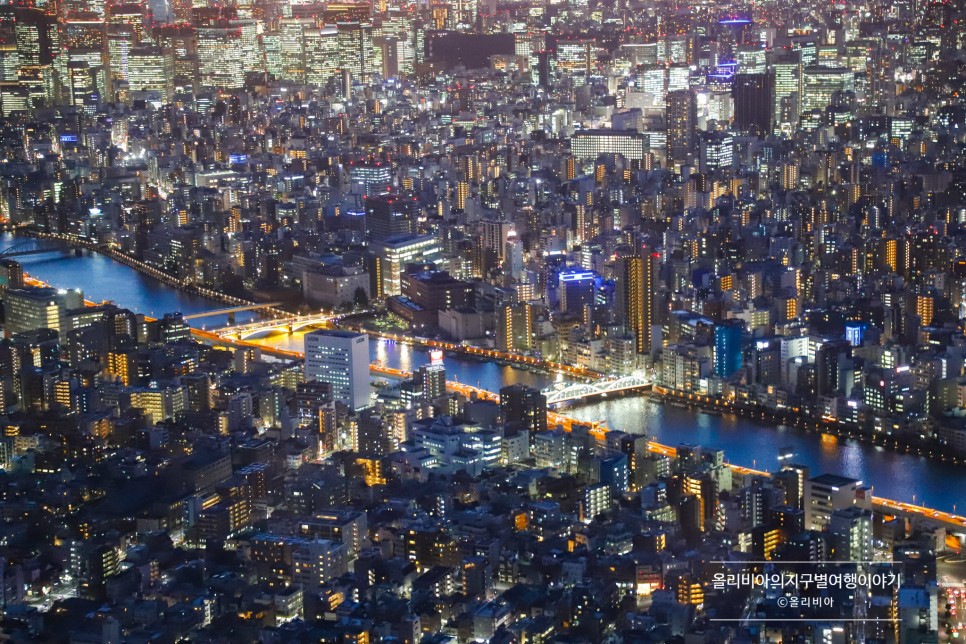 일본 포켓와이파이 도시락 추천 대여 도쿄 여행 준비물