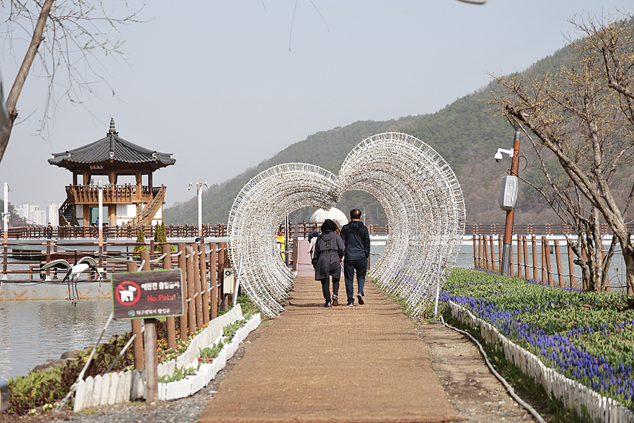 대구 옥연지 송해공원 튤립 대구 갈만한곳 드라이브 코스  데이트 당일치기