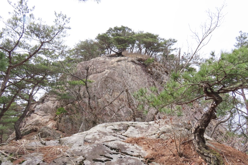 [계룡산국립공원] 장군봉~신선봉~남매탑~삼불봉으로 이어지는 병사골공원지킴터 코스 탐방