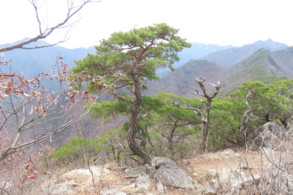 [계룡산국립공원] 장군봉~신선봉~남매탑~삼불봉으로 이어지는 병사골공원지킴터 코스 탐방
