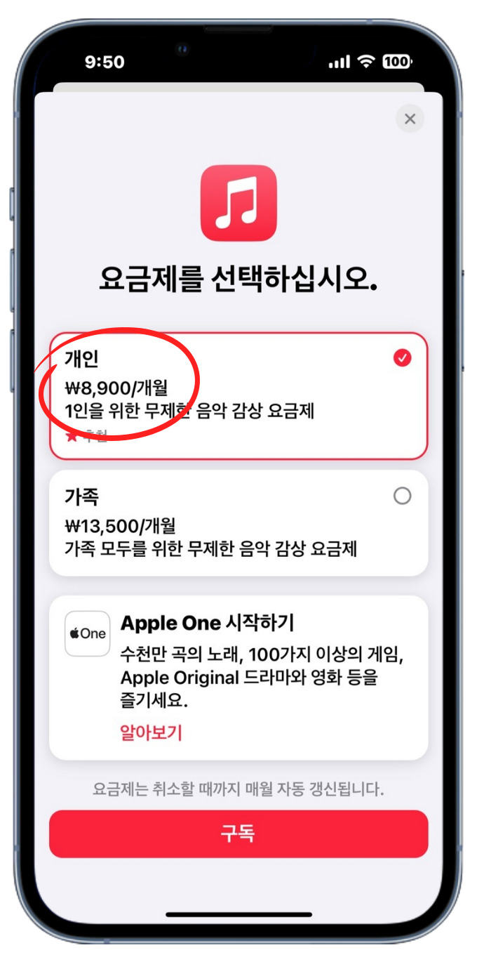 애플뮤직 6개월 무료 방법 및 유튜브 뮤직 가격, 요금제 비교