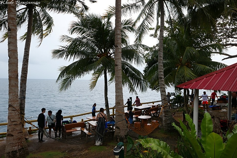필리핀 보홀 자유여행 고래상어 투어 비용 나팔링 투어 보홀 쇼핑 5월 6월 날씨