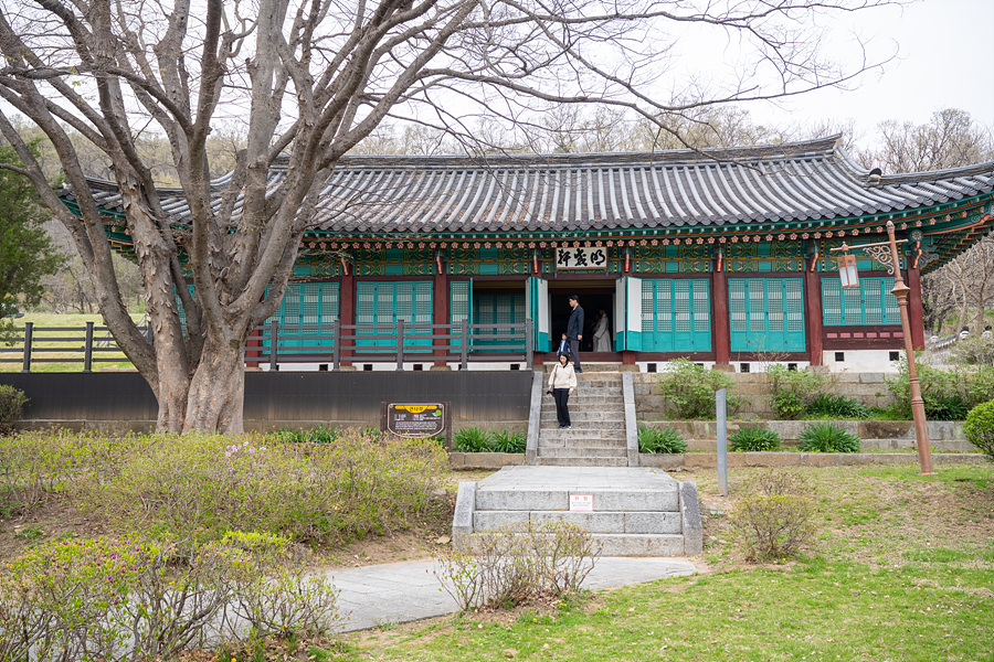 인천 강화도 벚꽃 명소 강화 고려궁지 산책로 아이와 인천 꽃구경